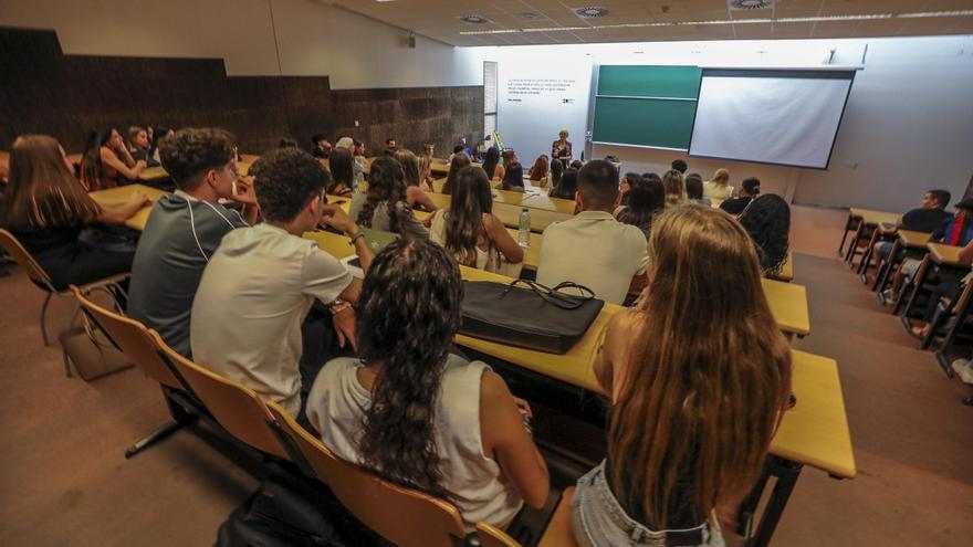 La mitad de los universitarios acaba los estudios a tiempo en la pública en Alicante