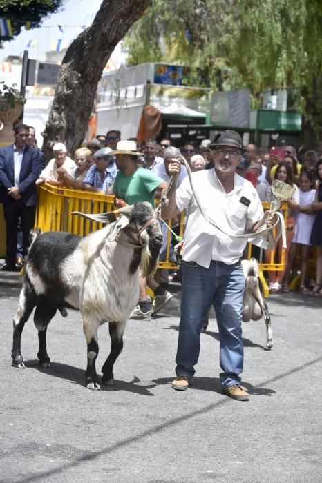 ENTREGA PREMIOS FERIA DE GANADO Y PROCESION ...