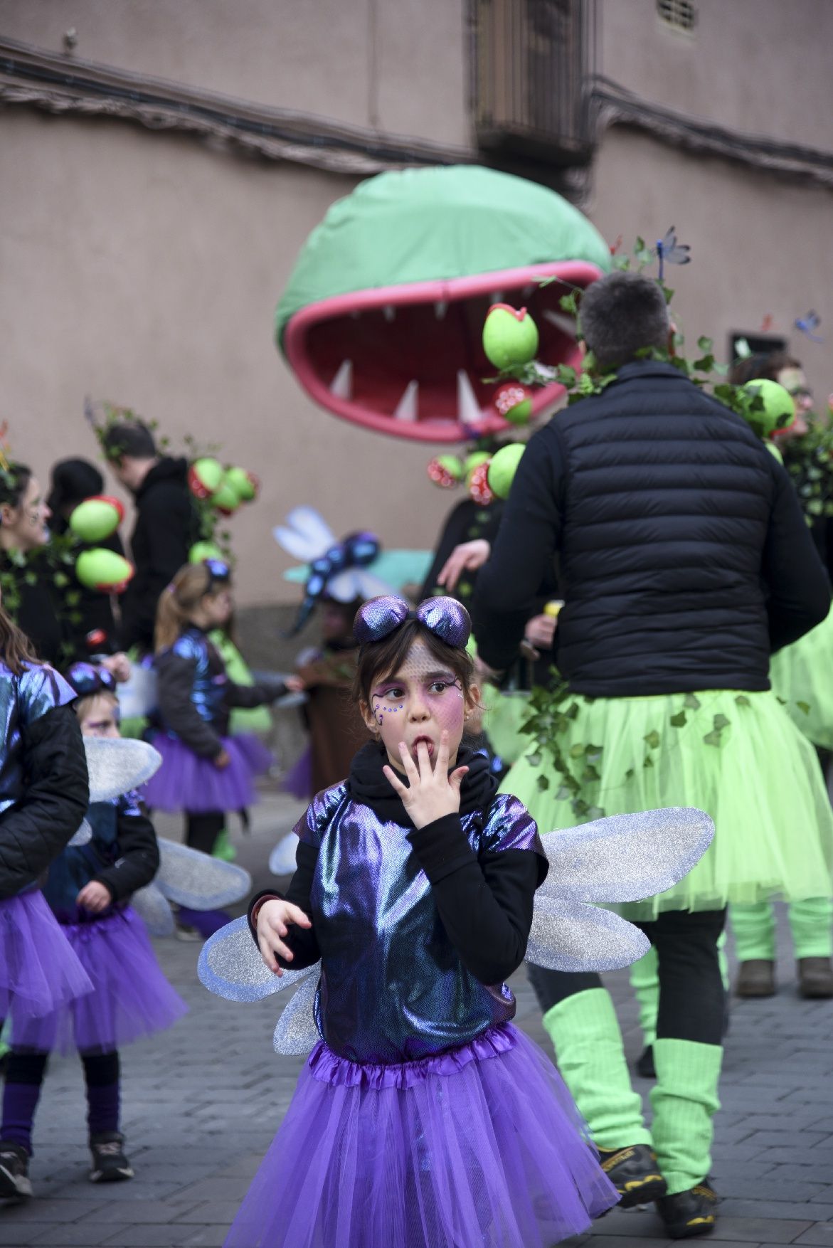 Totes les imatges del Carnaval d'Avinyó