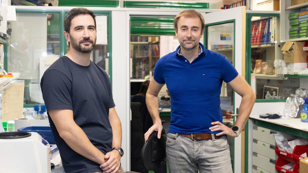 Los investigadores del CNIO Leonardo Garma y Miguel Quintela, coordinador del proyecto.