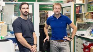 Los investigadores del CNIO Leonardo Garma y Miguel Quintela, coordinador del proyecto.