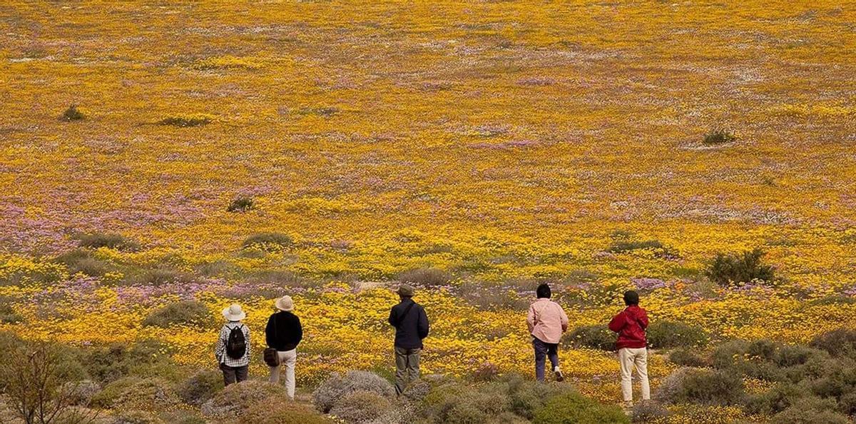 Parque Nacional Namaqua