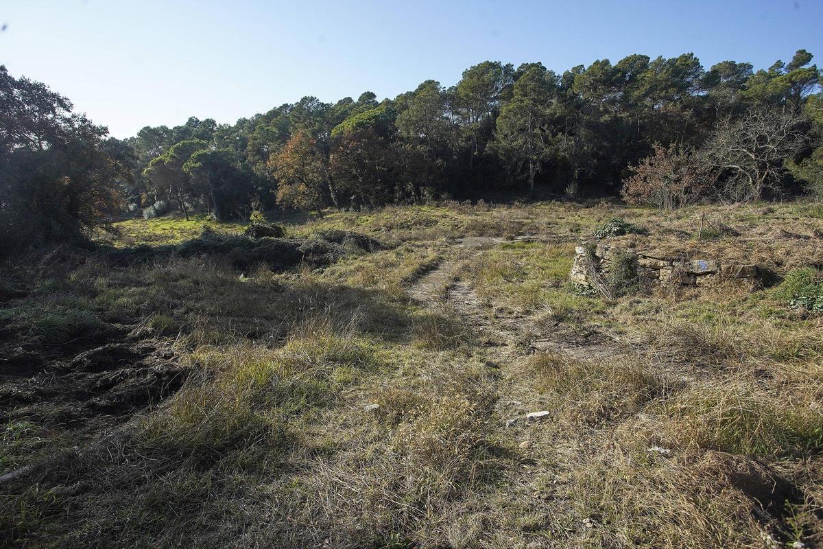 251217DDG_Marc Mart (228696823)