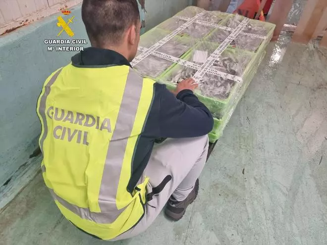 La Guardia Civil decomisa casi 150 kilos de sardinas en Ribeira