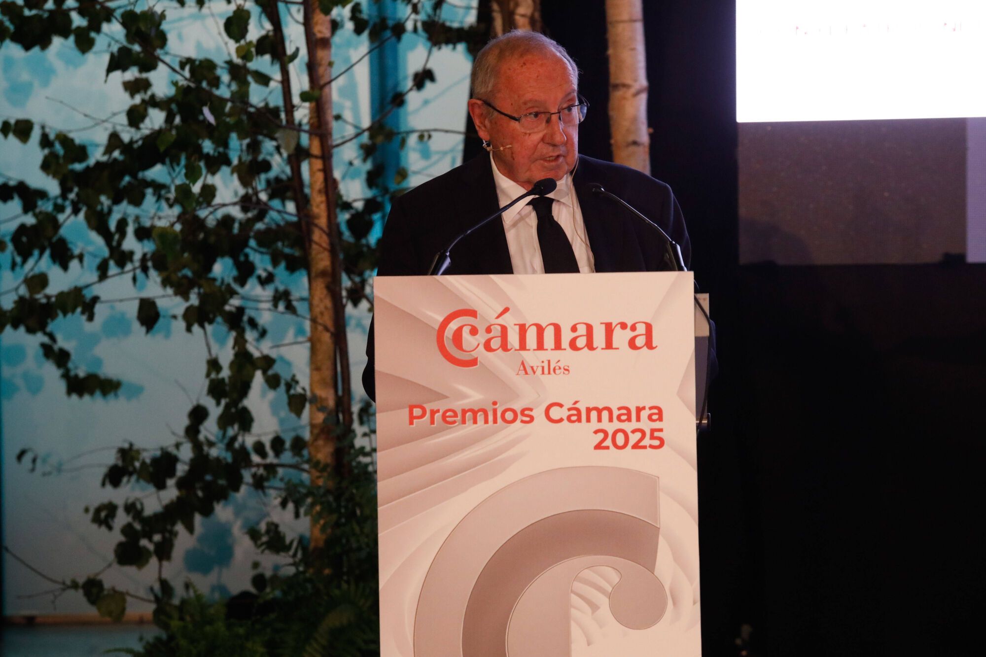 En imágenes: Premios Cámara 2025 en Avilés