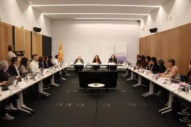 El Govern crea un grup d’experts de diversos àmbits per lluitar contra la violència vicària