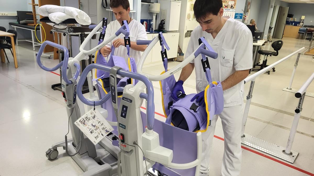 Les grues adquirides a través de la donació.