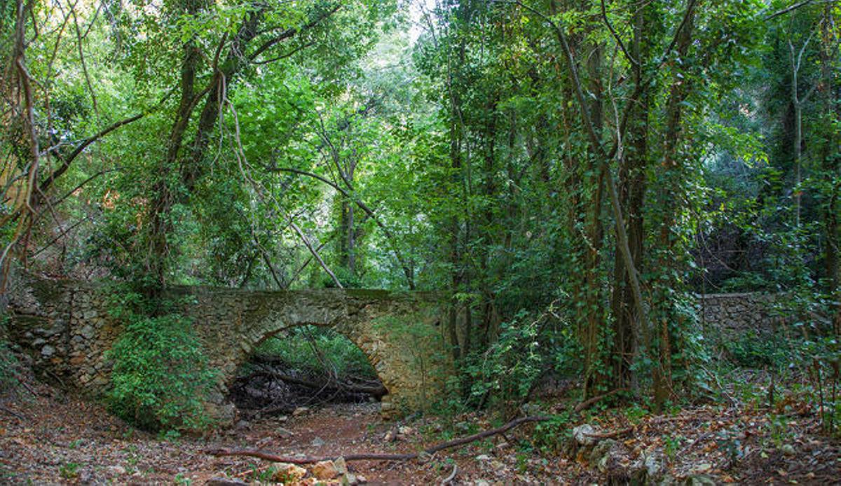 Los huertos de naranjos de Alzira y Carcaixent: donde la naturaleza y el arte concurren