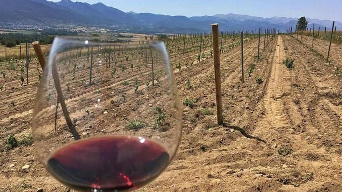 Aquest any Michelin ha engegat un nou apartat com a guia de vins