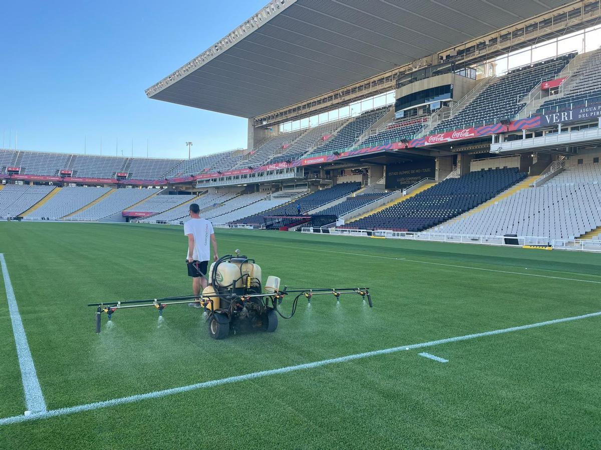 Imagen compartida por el FC Barcelona sobre el estado del césped en Montjuïc