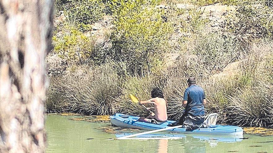 No vagi per dit | Quatre bosses de peixos morts a Cala Murada