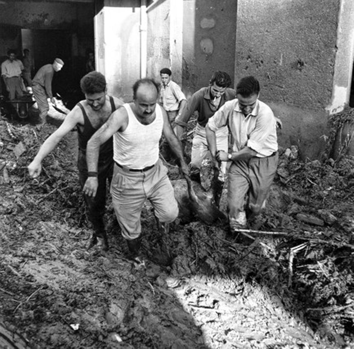 Quatre homes transporten un cap de bestiar mort en les inundacions desenterrat entre la runa.