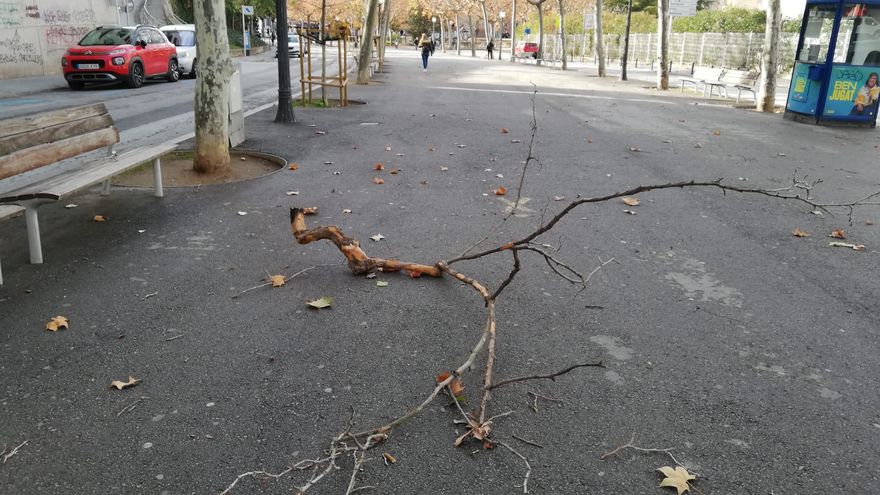 Els efectes del temporal de vent, a Manresa