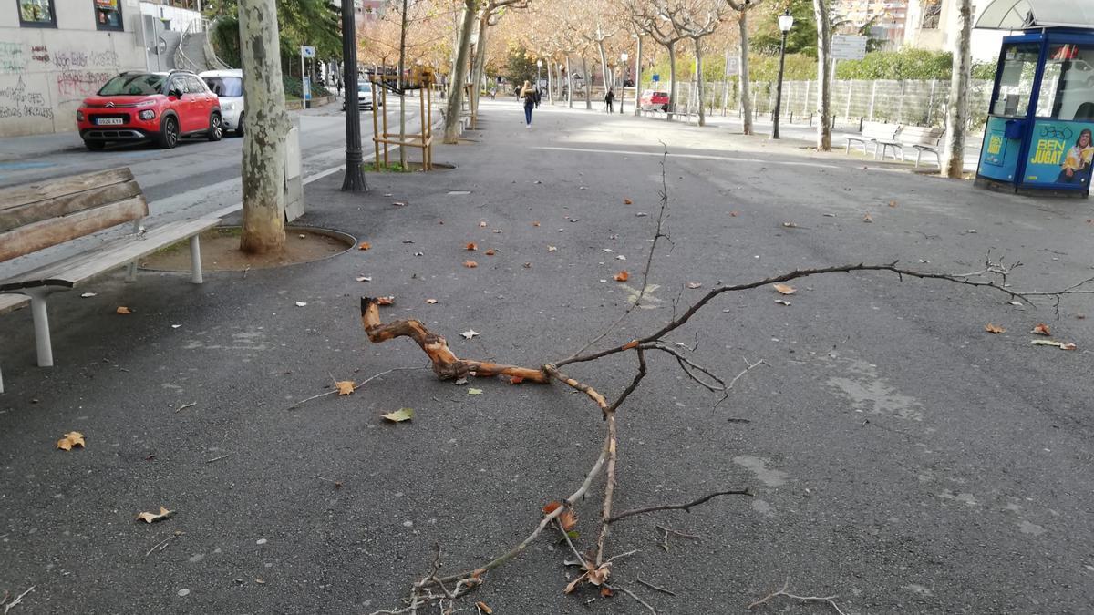 L'episodi de fort vent s'allargarà fins dimecres a la tarda