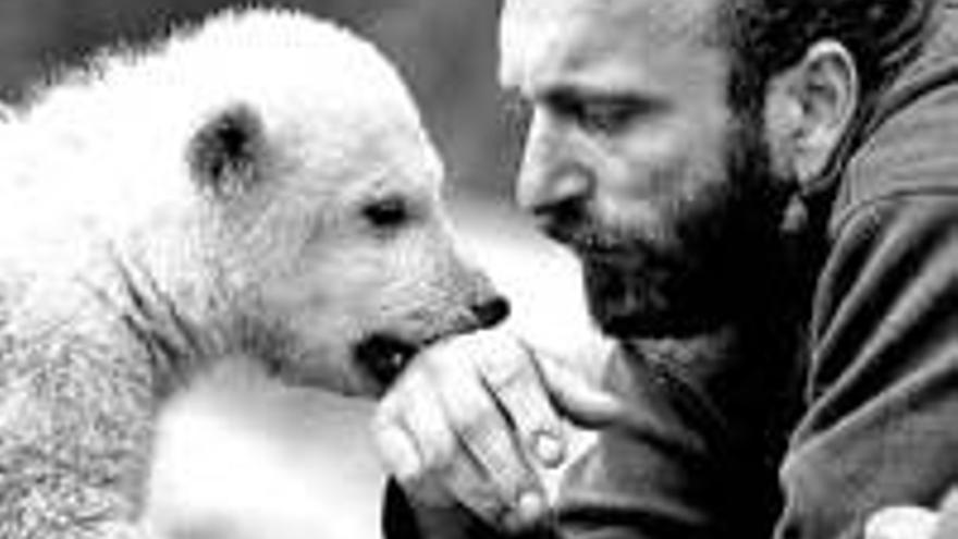`Knut´. El oso polar y su cuidador se separan por el bien de ambos