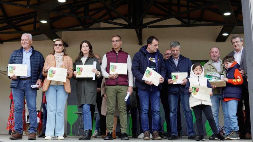 Los premios de los catadores populares ponen fin a la Feira do Viño do Ribeiro