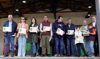 Los premios de los catadores populares ponen fin a la Feira do Viño do Ribeiro