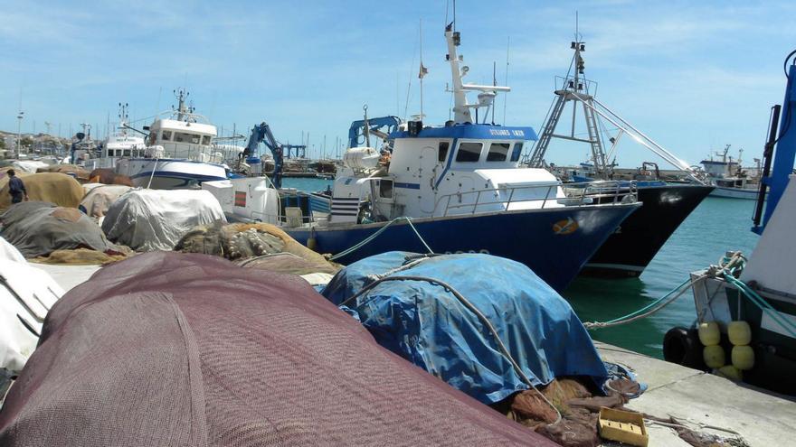 Gambas y boquerones compensan las pérdidas en el sector pesquero