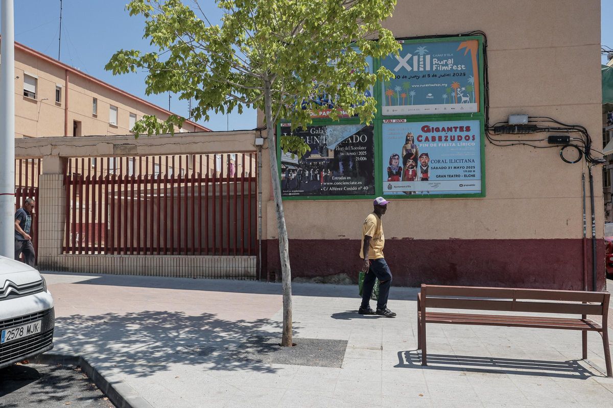 Uno de los árboles de la calle Ausiàs March "sellado" en Elche con cemento poroso