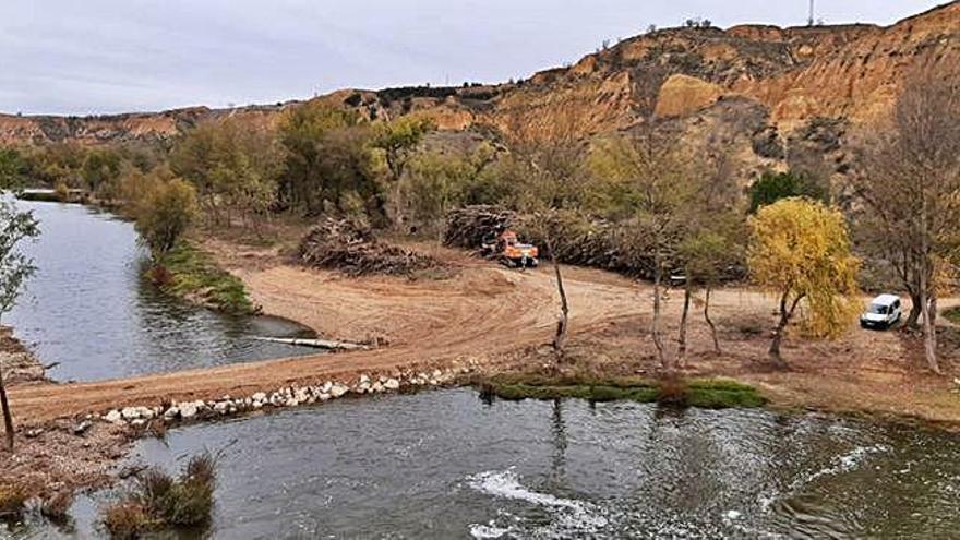 Operarios realizan labores de retirada de troncos y maleza acumulada en las riberas del Duero, en las inmediaciones del puente de piedra.