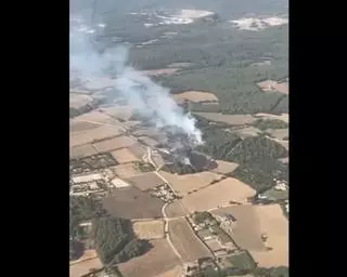 Extingit l'incendi forestal declarat dissabte a Begur