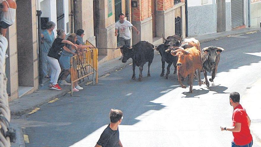 ‘Bous’, gastronomía y concursos  marcan el ritmo festivo en Llucena