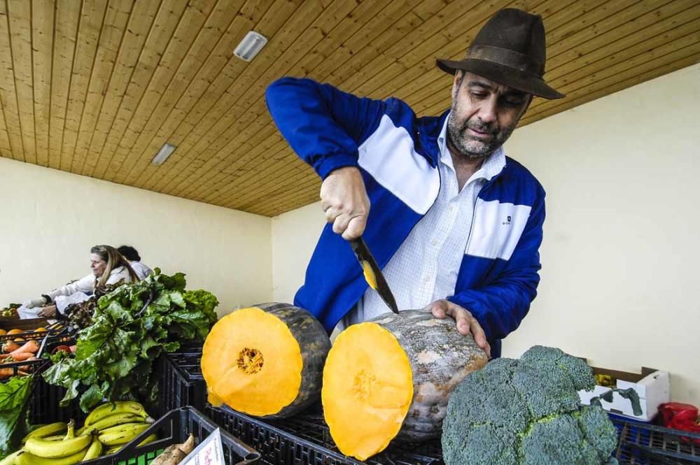 Mercado de berros a 1 euro en Ingenio