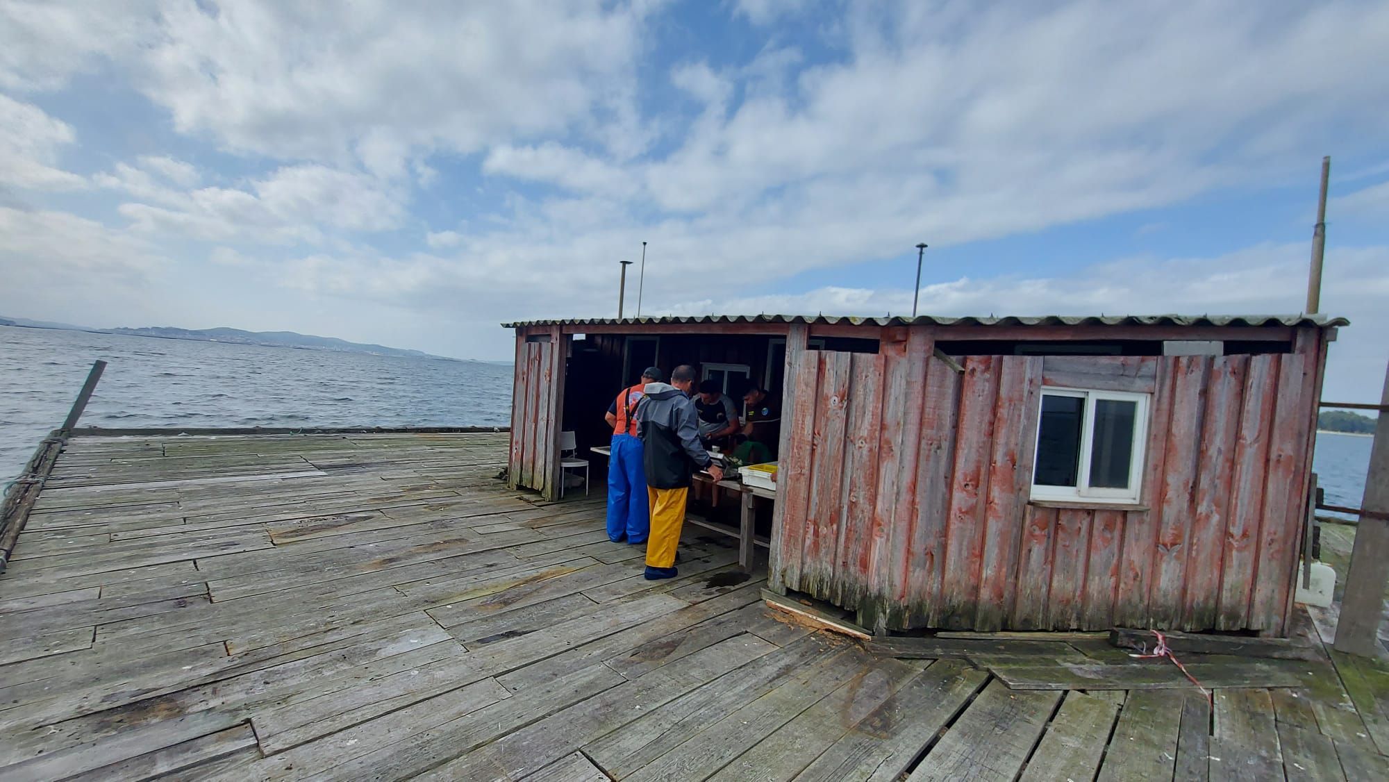 Así comenzó otra preocupante y desconsoladora campaña para el libre marisqueo en Arousa.