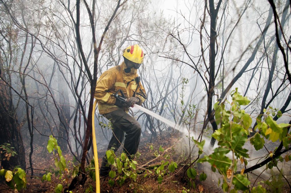 Incendi forestal a Blanes