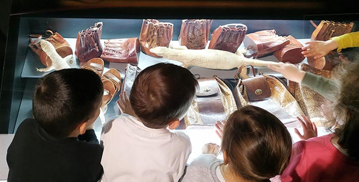 Imágenes de la sala permanente dedicada a "La Biodiversidad amenazada" en el Museo de la Biodiversidad