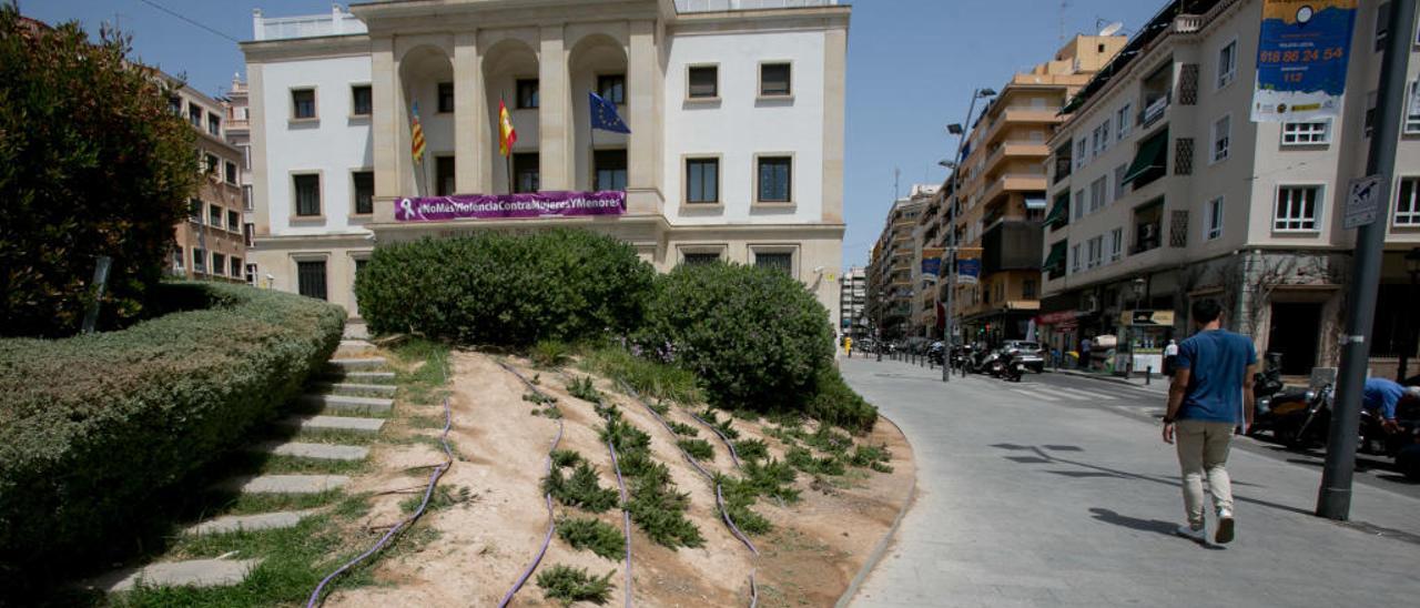 Jardín de la plaza de la Montañeta, en el que se observa el rigor del fuerte calor de este mes.