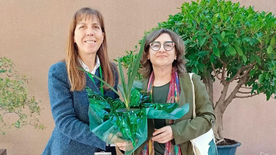 Palmeras de Elche y Orihuela viajan al Jardín Botánico de Madrid