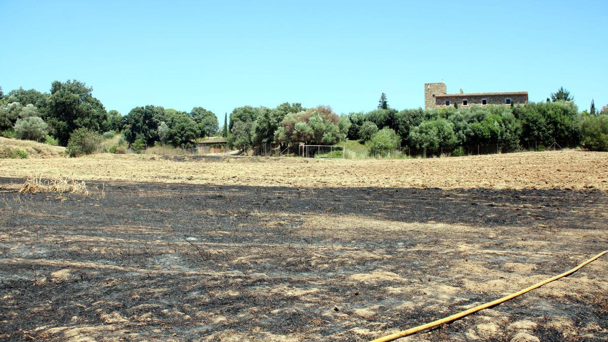 Una mànega d'aigua en un camp cremat i, al fons, una casa que s'ha salvat de l'incendi de les Gavarres