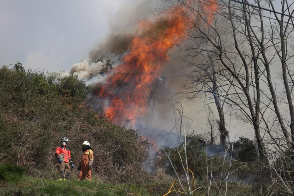 EN IMÁGENES | El fuego llega a Oviedo: el monte Naranco en llamas