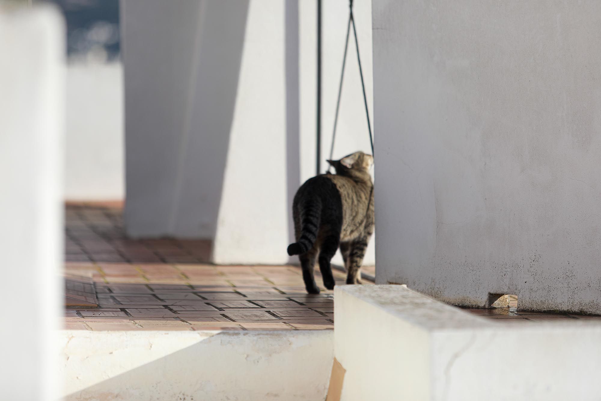 Visita a la Casa Broner en el barrio de sa Penya en Ibiza