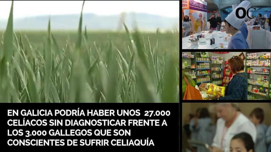 Unos 27.000 gallegos son intolerantes al gluten y no lo saben