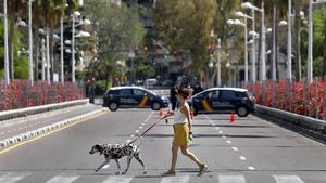 Una mujer pasea con su perro por el centro de València.