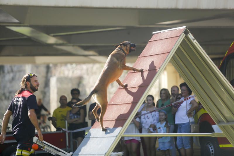 Feria Animalista en el cauce del Turia