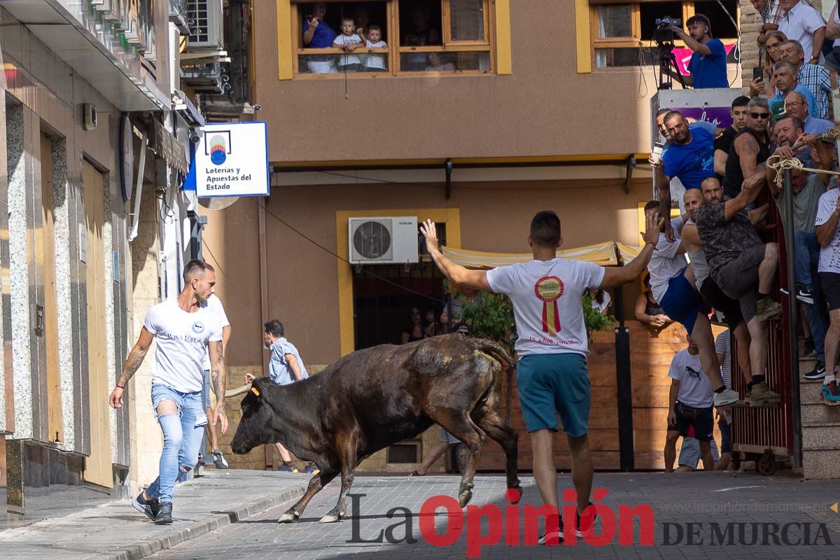 Séptimo encierro de las Fiestas de Moratalla