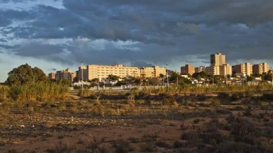 El Fondet de la Senieta, que se localiza entre Arenales del Sol y El Altet.