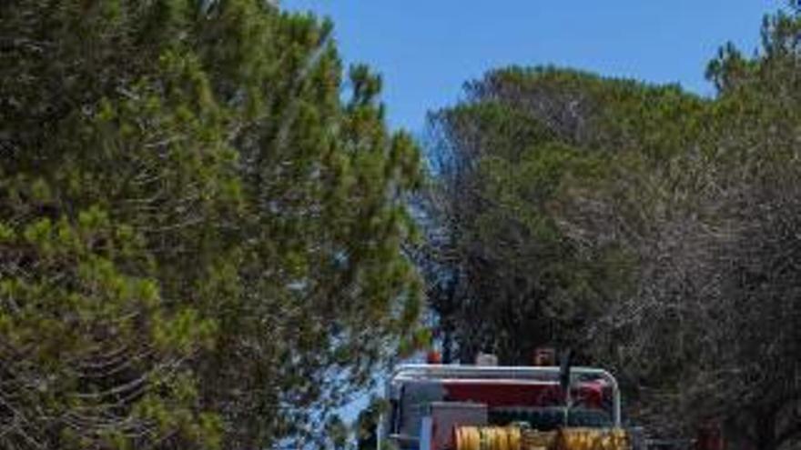 Hasta el lugar del incendio se desplazaron tres camiones de bomberos, dos de Elche y uno de Crevillent.