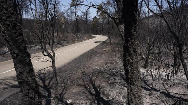 Una zona cremada en l’incendi de les Gavarres. | DAVID BORRAT / EFE
