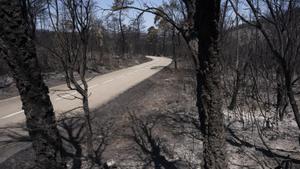 Agricultura va alertar de les restriccions el dia abans de l’incendi de les Gavarres