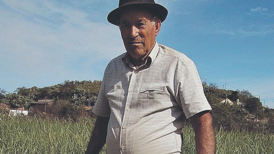 Imagen cedida por Jacob Morales del agricultor Manuel Quevedo Reina, cosechando cebada en Las Lechuzas, en San Mateo.