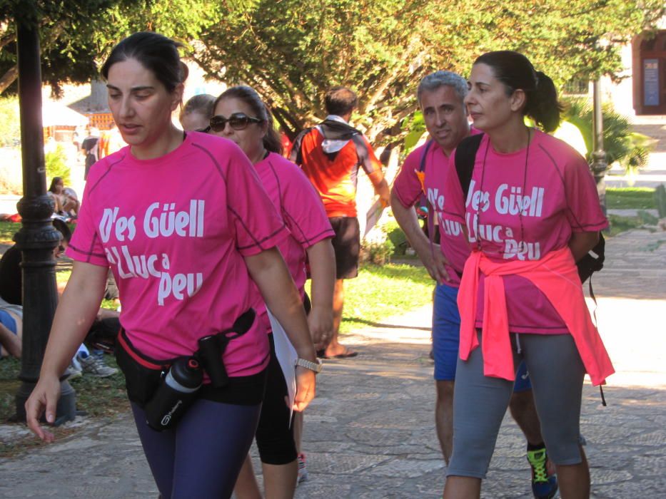 43 edición de la marcha Des Güell a Lluc a peu