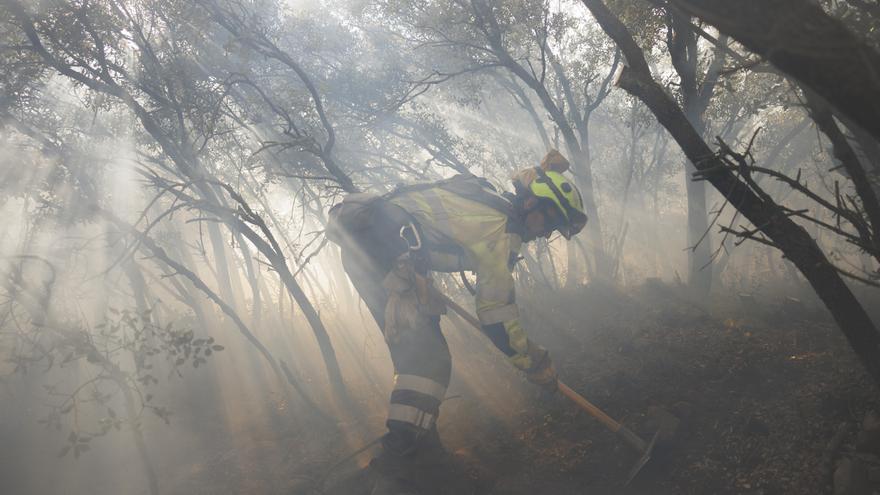 El día después del fuego en Bejís: evitar la erosión y años sin replantar