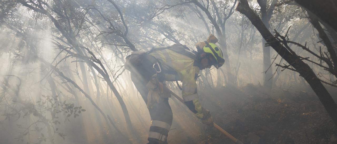 Efectivos de extinción en el incendio de Bejís.