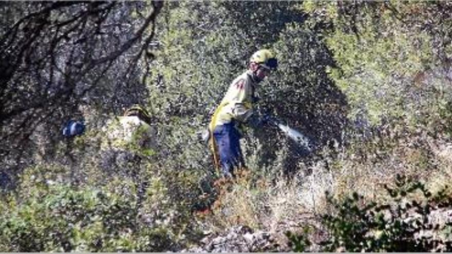 Els Bombers i ADF solen fer cremes controlades com a mesura de prevenció.