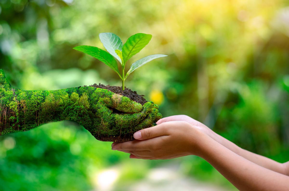 &quot;Todo en la vida pasa por la educación y en el caso del medio ambiente ocurre lo mismo.&quot;