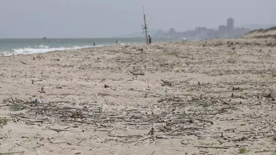 Cañas y suciedad: los efectos de la dana continúan en las playas de València
